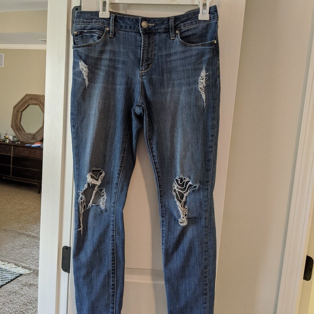 Articles of Society Distressed Skinny Jeans 29